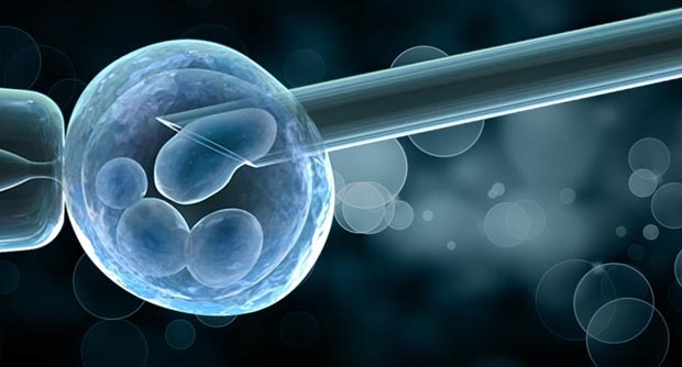 Global Preimplantation Genetic Diagnostics Market $232 Million by 2029