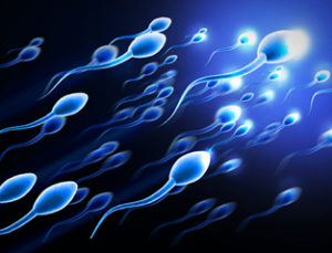 sperm-donation