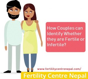 fertile or infertile