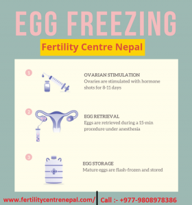 egg freezing cost in nepal